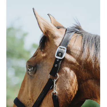 Licol nylon Equithème Protector Licol nylon Equithème Protector