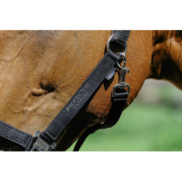Licol nylon Equithème Protector Licol nylon Equithème Protector