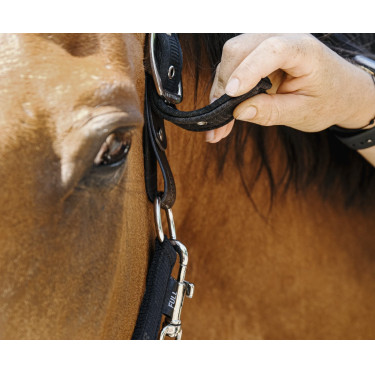 Licol nylon Equithème Protector Licol nylon Equithème Protector