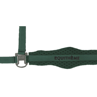 Licol nylon Equithème 3D Mesh Vert