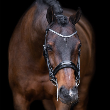 Brida Imperial Riding Olympia Brida Imperial Riding Olympia