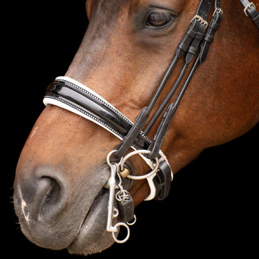 Bride Impérial Riding Olympia Noir / blanc