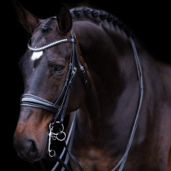 Bride Impérial Riding Fria Noir