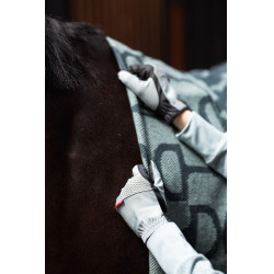 Gants toutes saisons Renee B Vertigo Vert sauge