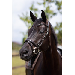 Filet bridon Nature Made Leisure Horze Marron expresso