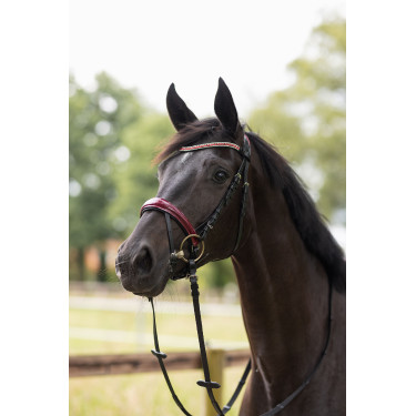 Filet bridon Physical Sophistication Horze Filet bridon Physical Sophistication Horze