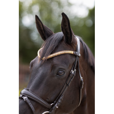 Frontal Nature Made Leisure Horze Marron expresso Frontal Nature Made Leisure Horze Marron expresso