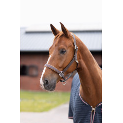 Licol en cuir Physical Sophistication Horze Marron