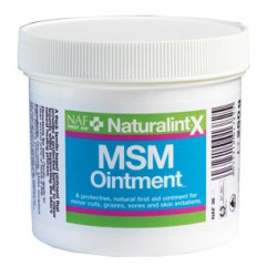 MSM Ointment NaturalintX NAF