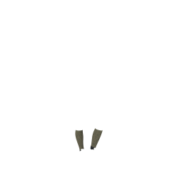 Chaussettes LeMieux Footsie Casey Alpine Vert Chaussettes LeMieux Footsie Casey Alpine Vert