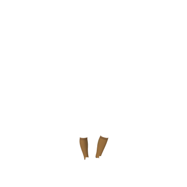 Chaussettes de concours LeMieux 2 paires Chaussettes de concours LeMieux 2 paires