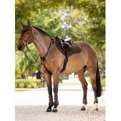 Tapis LeMieux Suede Close contact Square Alpine Marron Tapis LeMieux Suede Close contact Square Alpine Marron