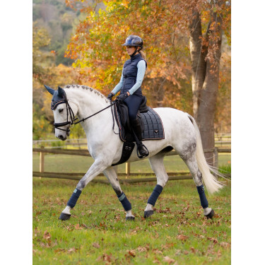 Tapis LeMieux Loire Classic Dressage Square Petrol Bleu Tapis LeMieux Loire Classic Dressage Square Petrol Bleu