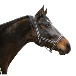 Licol Hippo Noir / argent