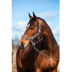 Licol Hippo Noir / argent