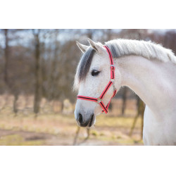 Licol Hippo Rose / marron