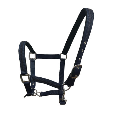 Set de licol et longe Flags & Cup Atamik Noir