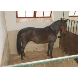 Caméra IPCam 2.0 HD Caméra IPCam 2.0 HD