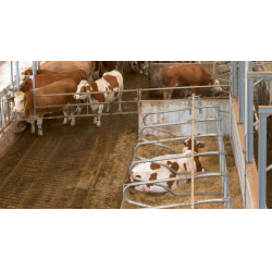 Caméra IPCam 2.0 HD Caméra IPCam 2.0 HD