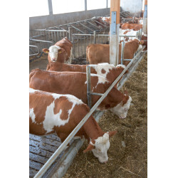 Caméra SmartCam Caméra SmartCam