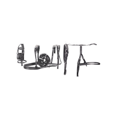 Harnais de conduite en cuir taille poney Umbria Equitazione Harnais de conduite en cuir taille poney Umbria Equitazione