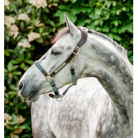 Licol Horseware tressé Signature Marron / marine / brume bleu Multi-couleurs Licol Horseware tressé Signature Marron / marine / brume bleu Multi-couleurs