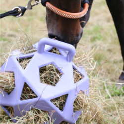 Balle de jeu / balle à foin Kentucky Lavande Violet