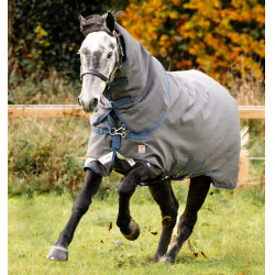 Couverture Horseware Rhino Hexstop Plus Vari-Layer Turnout 250g Gris / indigo