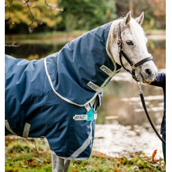 Couverture Horseware Amigo AmEco 12 Plus 100g Sarcelle / gris Bleu Couverture Horseware Amigo AmEco 12 Plus 100g Sarcelle / gris Bleu