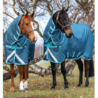 Couverture Horseware Amigo AmEco 12 Plus 250g Bleu foncé / bleu ciel / bleu foncé Couverture Horseware Amigo AmEco 12 Plus 250g Bleu foncé / bleu ciel / bleu foncé