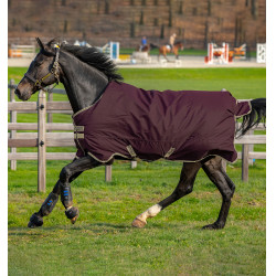 Couverture Horseware Amigo Hero Ripstop Lite 0g 600D Figue Violet