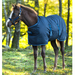 Couverture poulain Horseware Amigo Ripstop Foal 200g Marine / bleu électrique