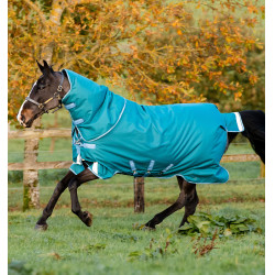 Couverture Horseware Amigo® Bravo 12 Plus 400g 1200D Vert / turquoise