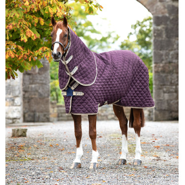 Couverture de box Horseware Amigo Plus Disque 200g Couverture de box Horseware Amigo Plus Disque 200g