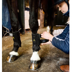 Guêtres Horseware Adagio Noir / jaune