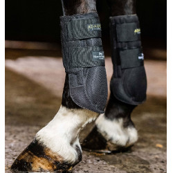 Guêtres Horseware Adagio Noir / jaune