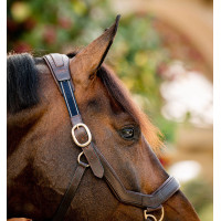 Licol Rambo Micklem Horseware Marron