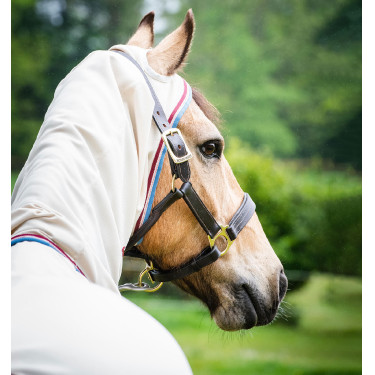 Couverture integrale Horseware Rambo hoody Poney 0g Couverture integrale Horseware Rambo hoody Poney 0g