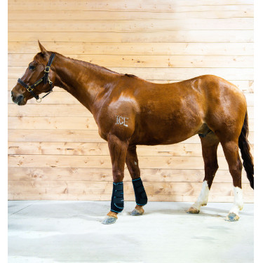 Guêtres massantes Horseware Ice-Vibe Guêtres massantes Horseware Ice-Vibe