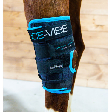 Protège-jarrets Horseware Ice-Vibe Protège-jarrets Horseware Ice-Vibe