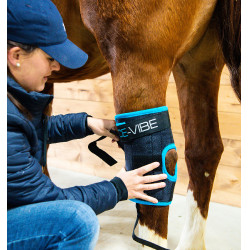 Protège-jarrets Horseware Ice-Vibe Noir / bleu aqua Protège-jarrets Horseware Ice-Vibe Noir / bleu aqua