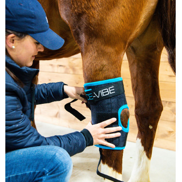 Protège-jarrets Horseware Ice-Vibe Protège-jarrets Horseware Ice-Vibe