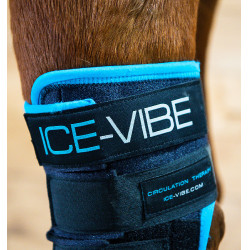 Protège-jarrets Horseware Ice-Vibe Noir / bleu aqua Protège-jarrets Horseware Ice-Vibe Noir / bleu aqua