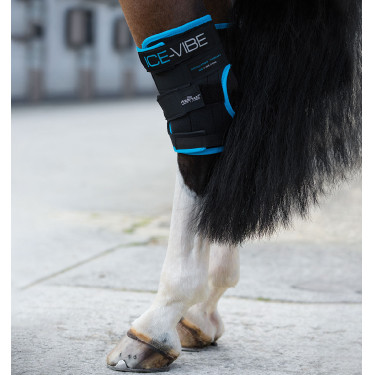 Protège-jarrets Horseware Ice-Vibe Protège-jarrets Horseware Ice-Vibe