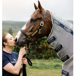 Couverture anti-mouches Horseware Rambo Protector Argent / bleu