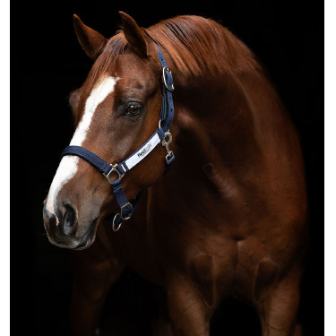 Licol de sécurité Horseware Field Safe Licol de sécurité Horseware Field Safe