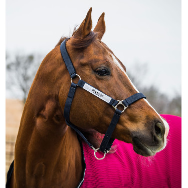 Licol de sécurité Horseware Field Safe Licol de sécurité Horseware Field Safe