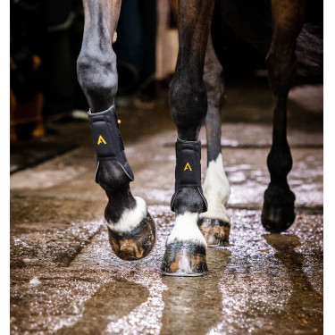 Guêtres Horseware Adagio Noir / jaune Guêtres Horseware Adagio Noir / jaune