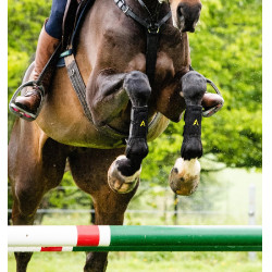 Guêtres Horseware Adagio Noir / jaune Guêtres Horseware Adagio Noir / jaune