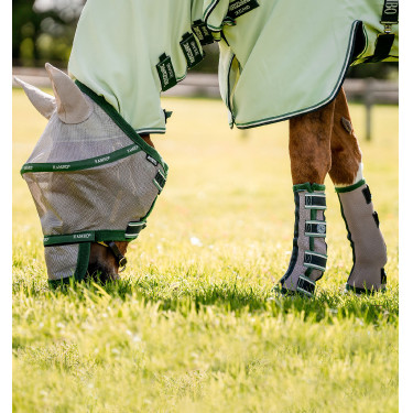 Guêtres anti-mouches Horseware Guêtres anti-mouches Horseware